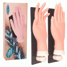 Premium Decorative Wall-Mounted Hand Display